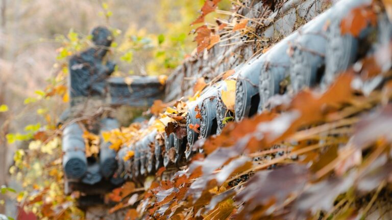 A homeowner checks a leaf-covered roof and cleared gutters beside a suburban house in autumn.